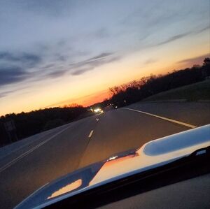 Meet your Posher, Trisha